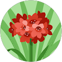 Julie Blackmore profile picture